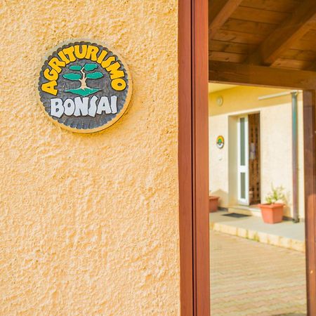 Bonsai B&B Alghero Santa Maria la Palma Zewnętrze zdjęcie