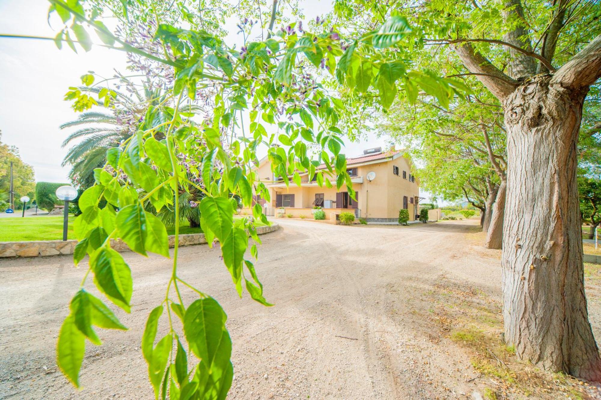 Bonsai B&B Alghero Santa Maria la Palma Zewnętrze zdjęcie
